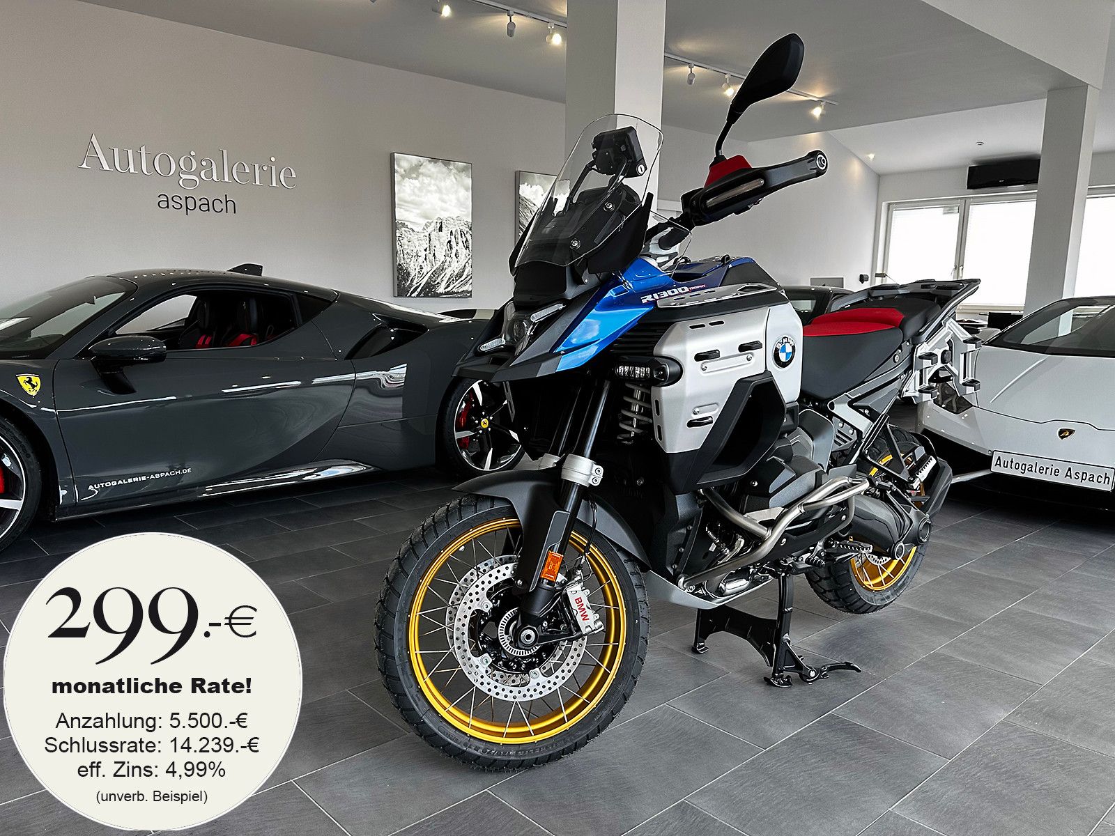 BMW R1300
